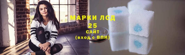 спайс Вяземский