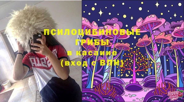 спайс Вяземский