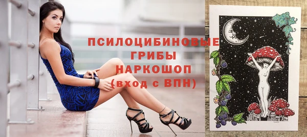 спайс Вяземский