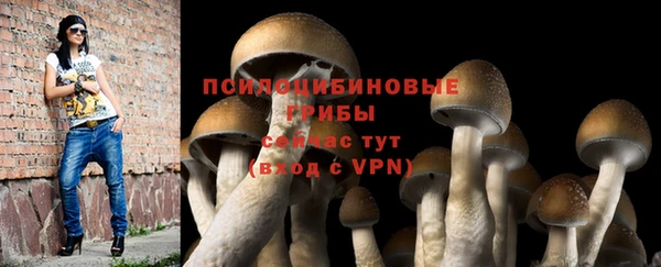 СК Фурманов